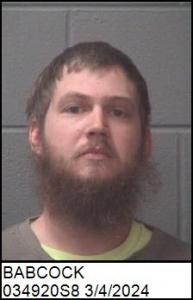 Shawn Dean Babcock a registered Sex Offender of North Carolina