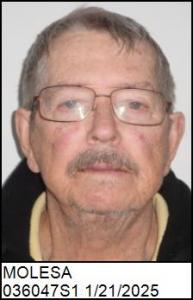 Gary Adam Molesa a registered Sex Offender of North Carolina