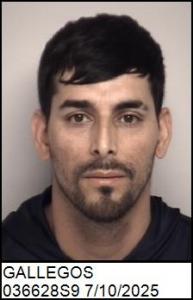 Alejandro Gallegos a registered Sex Offender of North Carolina