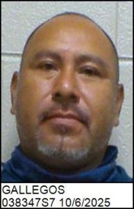 Jose Ignacio Gallegos a registered Sex Offender of North Carolina