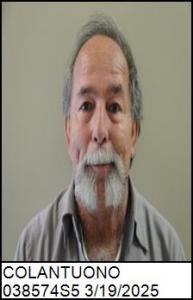 Carmine Louis Colantuono a registered Sex Offender of North Carolina