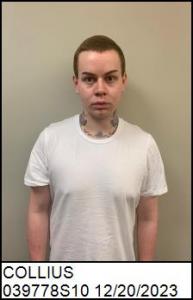 Michael Wyatt Collius a registered Sex Offender of North Carolina