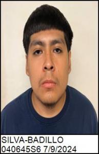 Edwin Silva-badillo a registered Sex Offender of North Carolina