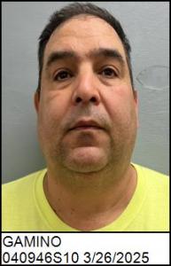 Daniel Lin Gamino a registered Sex Offender of Georgia