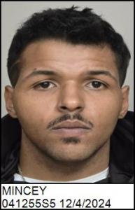 Jordan Anthony Zane Mincey a registered Sex Offender of Alabama