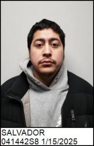 Gonsalo Armando Salvador a registered Sex Offender of North Carolina