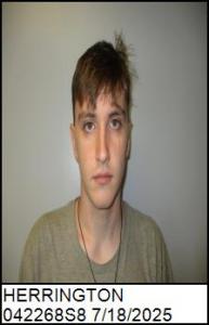 Adam Michael Herrington a registered Sex Offender of North Carolina