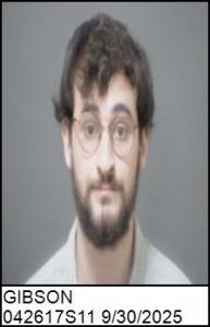 Charles Michael Gibson a registered Sex Offender of South Carolina