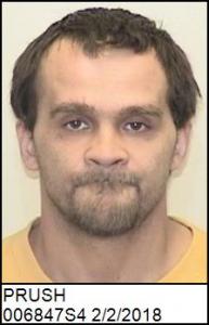 Robert John Prush a registered Sex Offender of New York