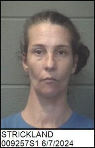 Shannon Lee Strickland a registered Sex Offender of North Carolina