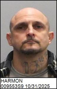 William Todd Harmon a registered Sex Offender of North Carolina