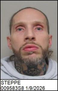Christopher Ryan Steppe a registered Sex Offender of North Carolina