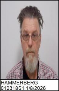 Michael Wayne Hammerberg a registered Sex Offender of North Carolina