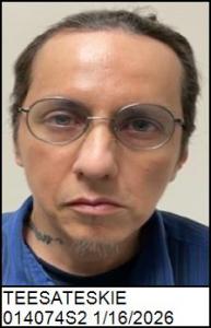 Steven Douglas Teesateskie a registered Sex Offender of North Carolina