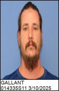 James Lee Gallant a registered Sex Offender of North Carolina