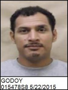 Raul Alfonzo Godoy a registered Sex Offender of South Carolina