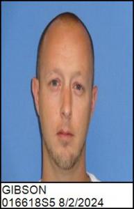 Shawn Brandon Gibson a registered Sex Offender of North Carolina