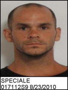 Frank J Jr Speciale a registered Sex Offender of Illinois