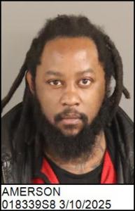 Torrey Dewann Amerson a registered Sex Offender of North Carolina
