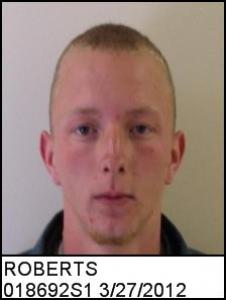 Michael Gregory Roberts a registered Sex Offender of Georgia
