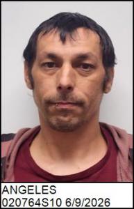 Daniel L Angeles a registered Sex Offender of North Carolina