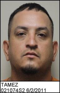 Noe Santos Tamez a registered Sex Offender of Texas