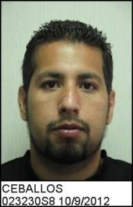 Yusef Ceballos a registered Sex Offender of Georgia