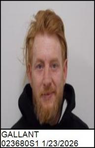Shane Matthew Gallant a registered Sex Offender of North Carolina