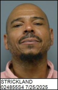Brian Daniel Strickland a registered Sex Offender of Virginia