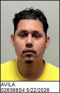 Brandon Avila a registered Sex Offender of North Carolina