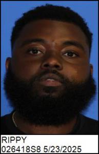 Aaron Fitzgerald Jr Rippy a registered Sex Offender of North Carolina