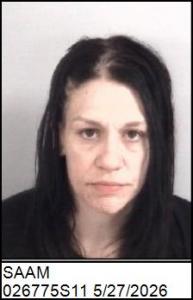 Bridgette Ann Saam a registered Sex Offender of North Carolina