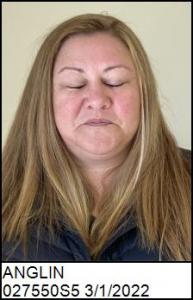 Paula Rene Anglin a registered Sex Offender of Ohio