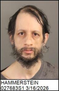 Jeremy Michael Hammerstein a registered Sex Offender of North Carolina