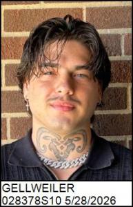 Walter P Gellweiler a registered Sex Offender of North Carolina