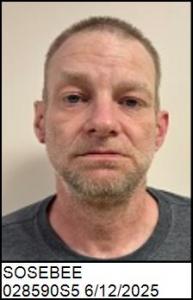 Ronald Shannon Sosebee a registered Sex Offender of South Carolina