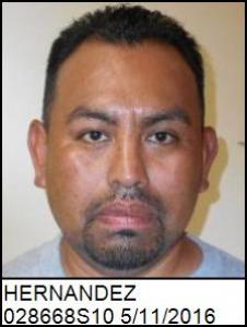 Isidoro P Hernandez a registered Sex Offender of Georgia