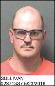 Shane Michael Sullivan a registered Sex Offender of Georgia