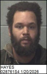 James Shelton Iii Hayes a registered Sex Offender of North Carolina
