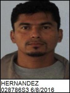 Herber O Hernandez a registered Sex Offender of Georgia