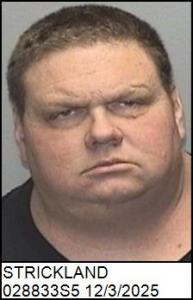 Terry Phillip Strickland a registered Sex Offender of North Carolina