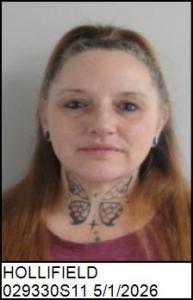 Dawn Louise Hollifield a registered Sex Offender of North Carolina