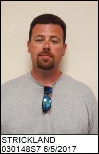 Bennie W Strickland a registered Sex Offender of North Carolina