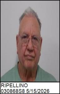 Michael Giacomo Ripellino a registered Sex Offender of North Carolina