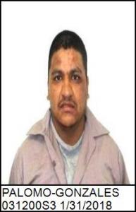 Jose L Palomo-gonzales a registered Sex Offender of Georgia