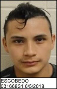 Jonathan Gudiel Escobedo a registered Sex Offender of Georgia
