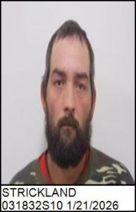 Cheyenne Hunter Strickland a registered Sex Offender of North Carolina