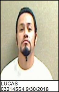 Ismael Lucas a registered Sex Offender of Georgia