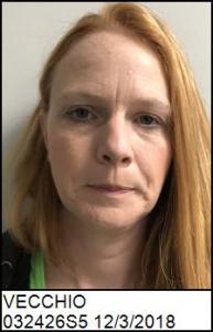 Diana Elizabeth Vecchio a registered Sex Offender of Texas