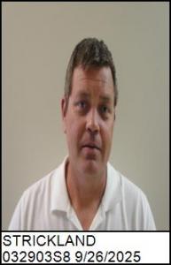 Lucian Adam Strickland a registered Sex Offender of North Carolina